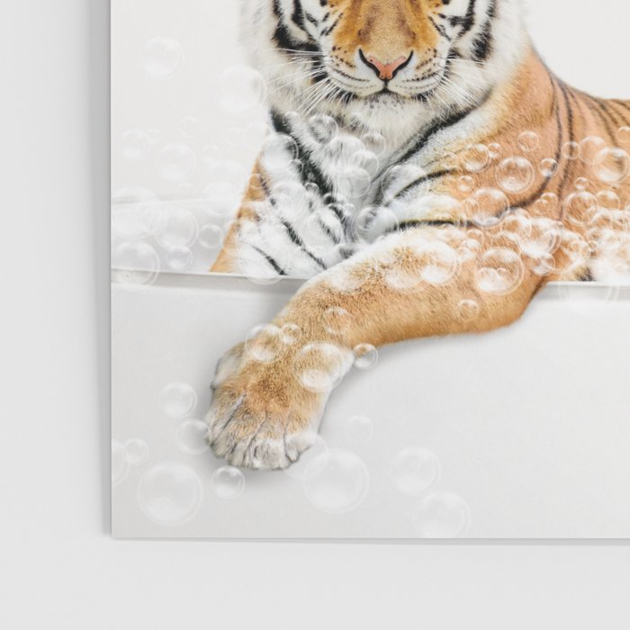 Tiger in a Bathtub, Tiger Taking a Bath, Tiger Bathing, Whimsy Animal Art Print By Synplus Poster Gallery Image 3