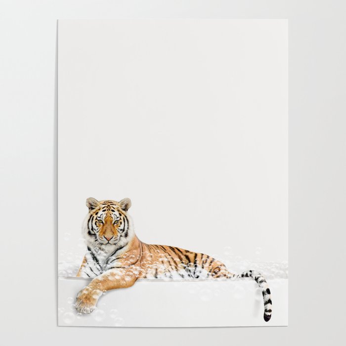 Tiger in a Bathtub, Tiger Taking a Bath, Tiger Bathing, Whimsy Animal Art Print By Synplus Poster Gallery Image 4