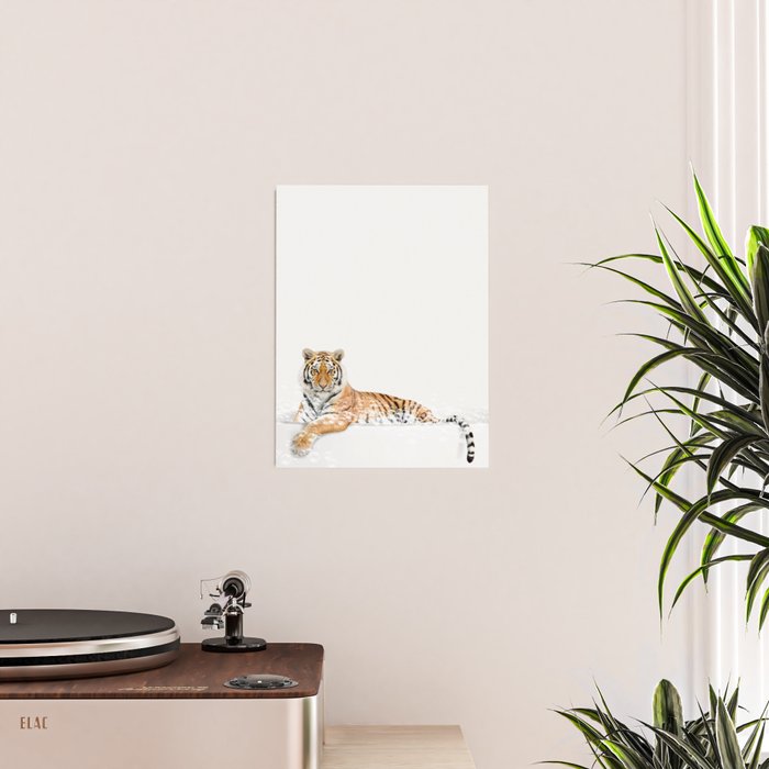 Tiger in a Bathtub, Tiger Taking a Bath, Tiger Bathing, Whimsy Animal Art Print By Synplus Poster Gallery Image 2