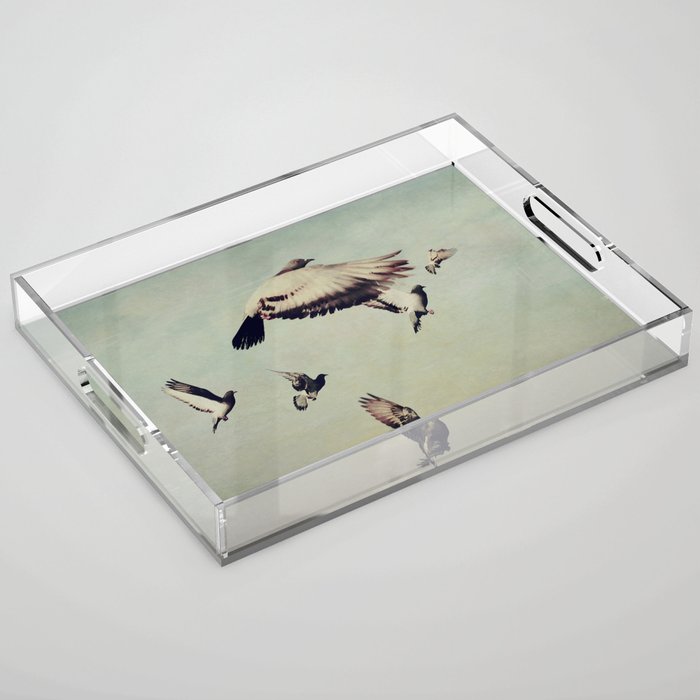 Birds in Flight - beautiful nature photograph Acrylic Tray Gallery Image 1