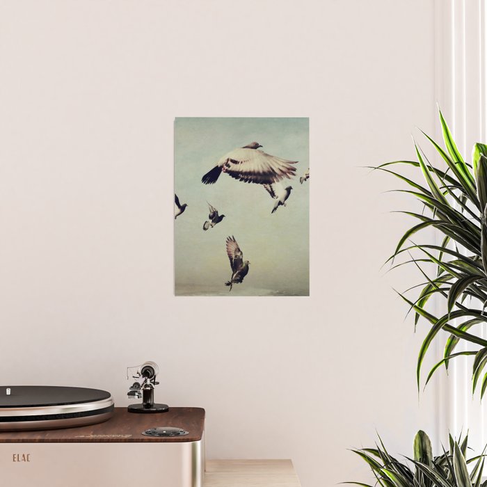 Birds in Flight - beautiful nature photograph Poster Gallery Image 2