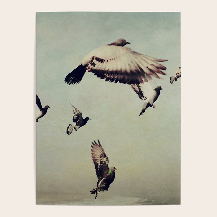 Birds in Flight - beautiful nature photograph Poster Gallery Image 4