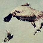 Birds in Flight - beautiful nature photograph Coffee Mug Gallery Image 2