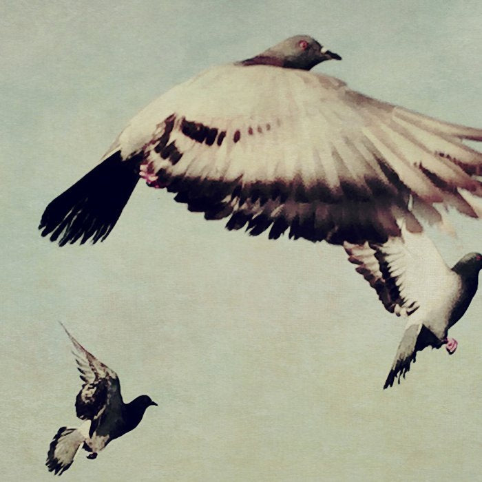 Birds in Flight - beautiful nature photograph Coffee Mug Gallery Image 2