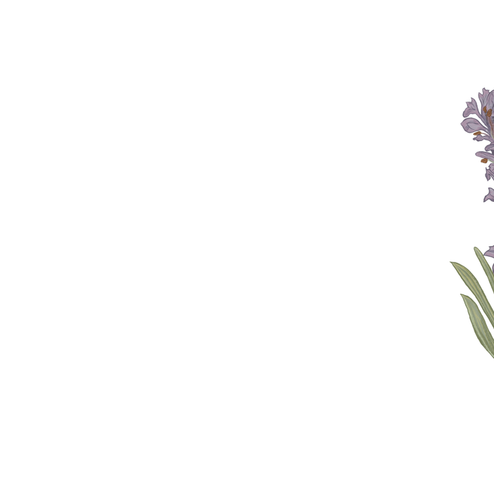 Lavender Flower Illustration Coffee Mug Gallery Image 2