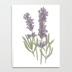 Lavender Flower Illustration Notebook Gallery Image 4
