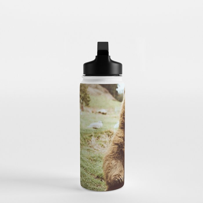 Hi Bear Water Bottle Gallery Image 3