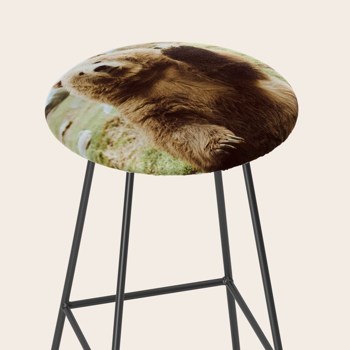 Hi Bear Stool Gallery Image 2