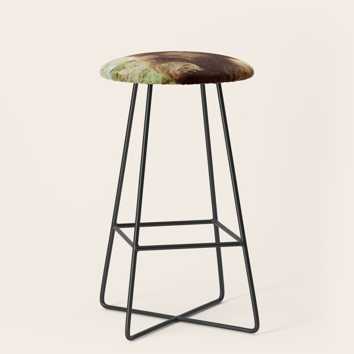 Hi Bear Stool Gallery Image 1