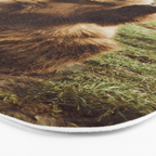 Hi Bear Bath Mat Gallery Image 3
