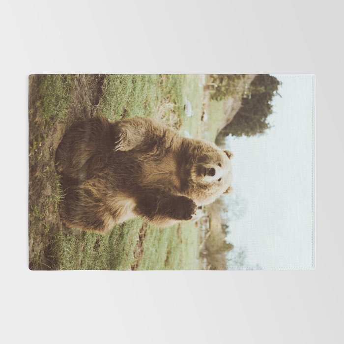 Hi Bear Rug Gallery Image 2