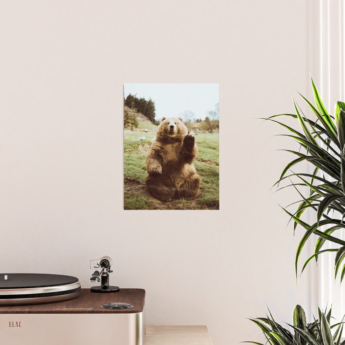 Hi Bear Poster Gallery Image 2