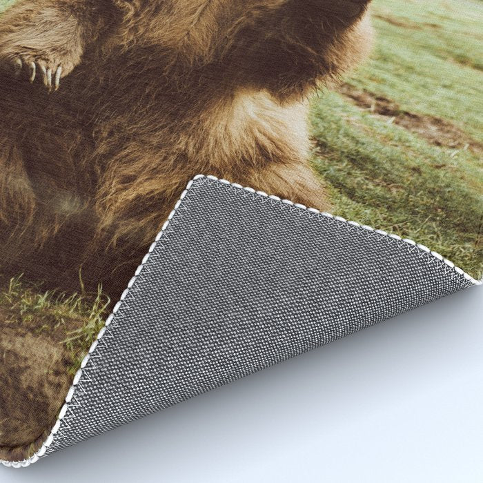 Hi Bear Rug Gallery Image 4