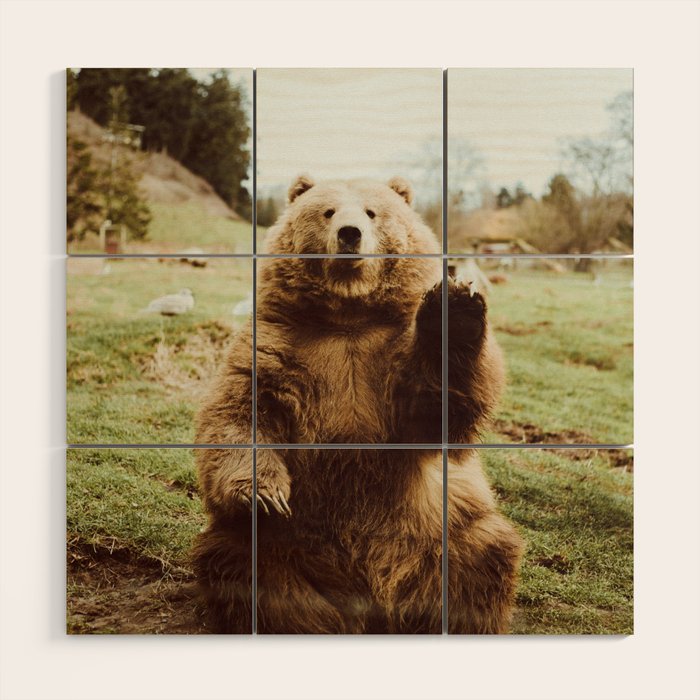 Hi Bear Wood Wall Art Gallery Image 1