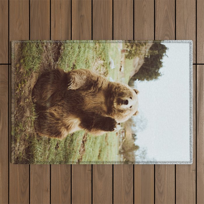 Hi Bear Outdoor Rug Gallery Image 1