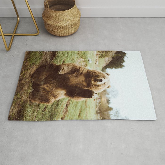 Hi Bear Rug Gallery Image 1