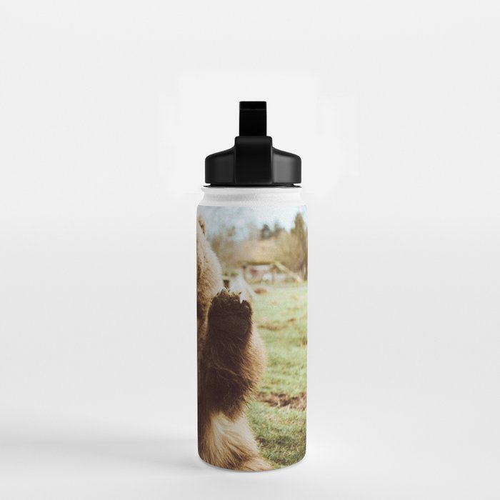 Hi Bear Water Bottle Gallery Image 2