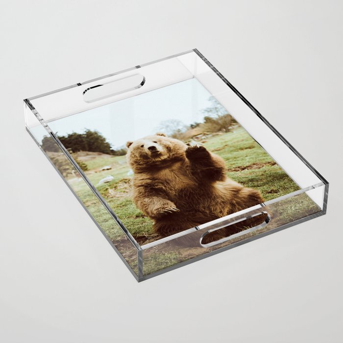 Hi Bear Acrylic Tray Gallery Image 1