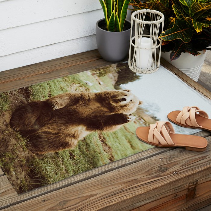 Hi Bear Outdoor Rug Gallery Image 2