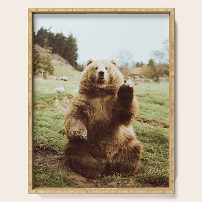 Hi Bear Serving Tray Gallery Image 1