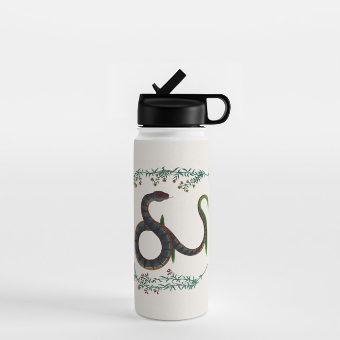 Albertus Seba Three Snakes And Floral Vines  Water Bottle Gallery Image 1