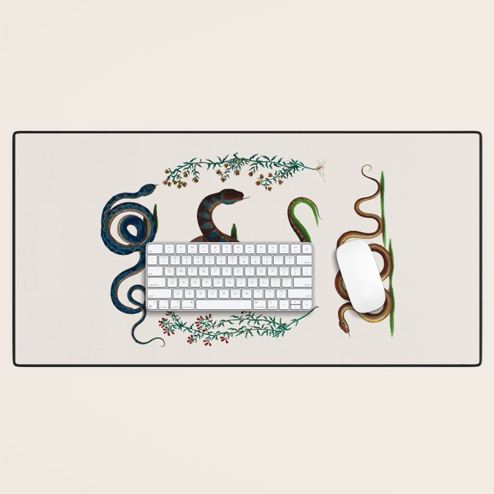 Albertus Seba Three Snakes And Floral Vines  Desk Mat Gallery Image 1