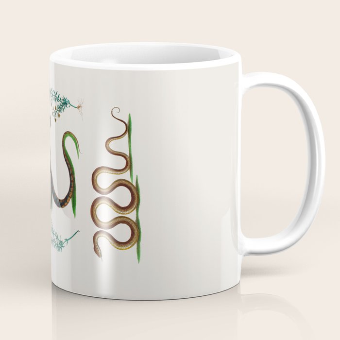 Albertus Seba Three Snakes And Floral Vines  Coffee Mug Gallery Image 1