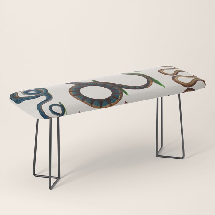 Albertus Seba Three Snakes And Floral Vines  Bench Gallery Image 1