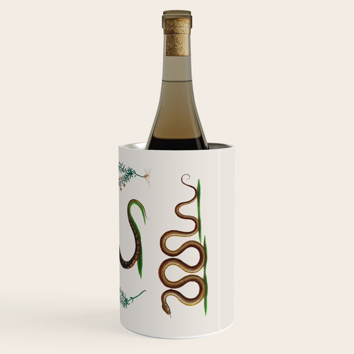 Albertus Seba Three Snakes And Floral Vines  Wine Chiller Gallery Image 3