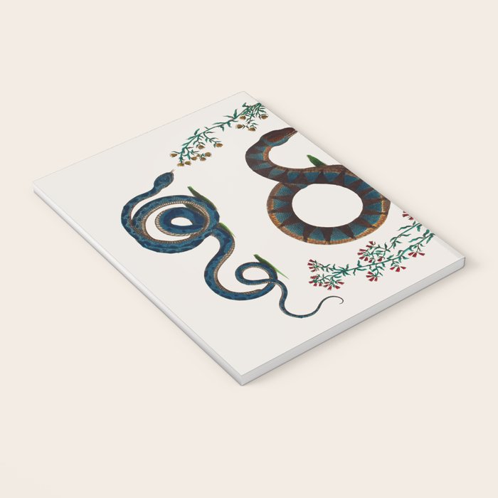 Albertus Seba Three Snakes And Floral Vines  Notebook Gallery Image 3