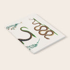 Albertus Seba Three Snakes And Floral Vines  Notebook Gallery Image 2