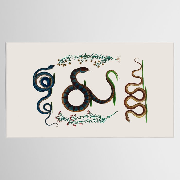 Albertus Seba Three Snakes And Floral Vines  Tablecloth Gallery Image 2