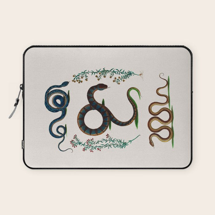 Albertus Seba Three Snakes And Floral Vines  Laptop Sleeve Gallery Image 1