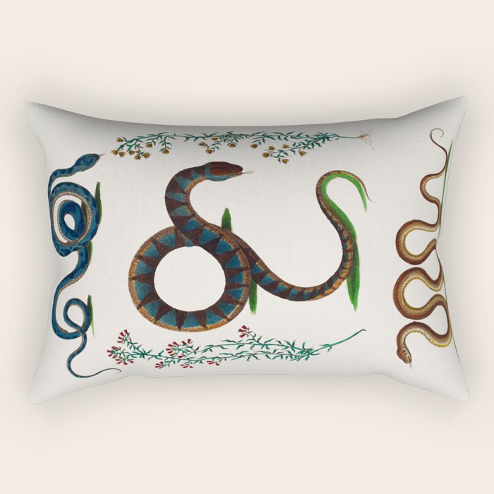Albertus Seba Three Snakes And Floral Vines  Rectangular Pillow Gallery Image 2