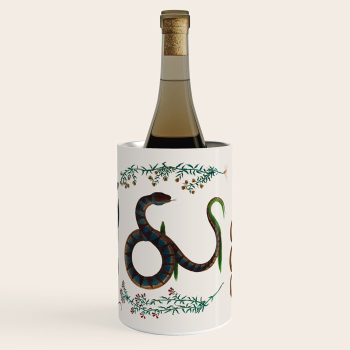 Albertus Seba Three Snakes And Floral Vines  Wine Chiller Gallery Image 1