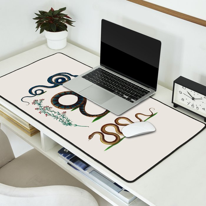 Albertus Seba Three Snakes And Floral Vines  Desk Mat Gallery Image 2