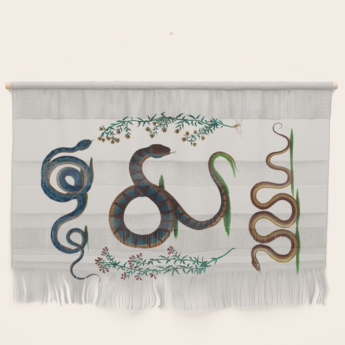 Albertus Seba Three Snakes And Floral Vines  Wall Hanging Gallery Image 1