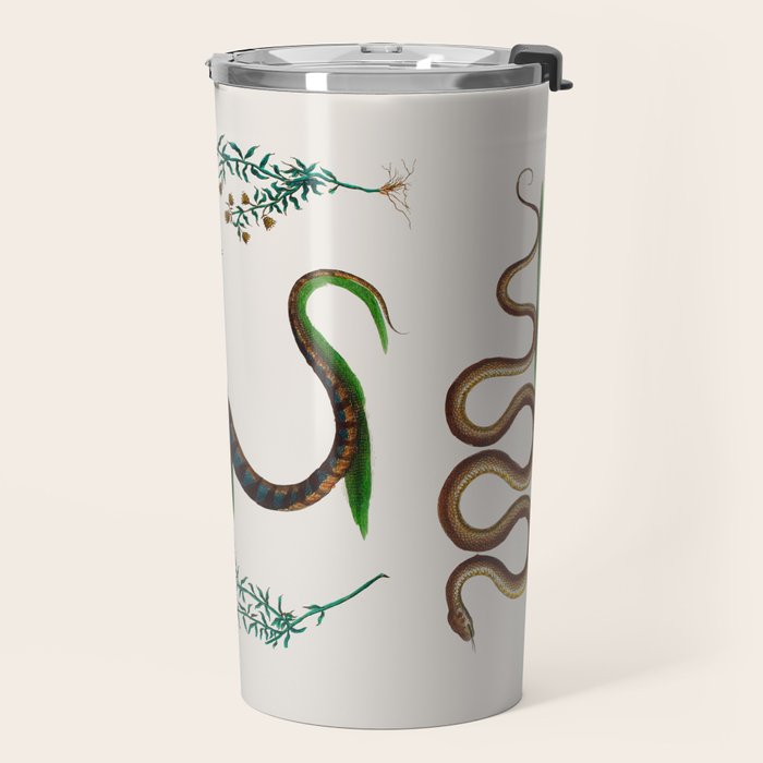 Albertus Seba Three Snakes And Floral Vines  Travel Mug Gallery Image 2