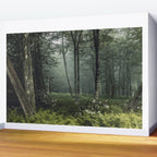 Forest Melody - Appalachian Mountains  Wall Mural Gallery Image 2