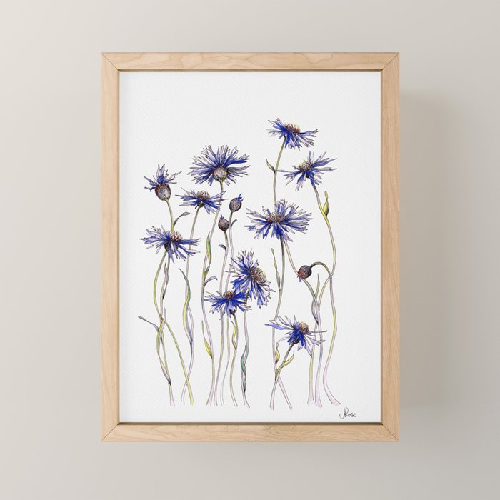 Blue Cornflowers, Illustration Mini Art Print Gallery Image 1