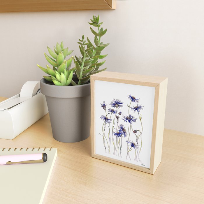 Blue Cornflowers, Illustration Mini Art Print Gallery Image 2