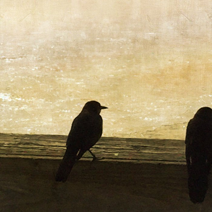 Four Blackbirds Coffee Mug Gallery Image 2