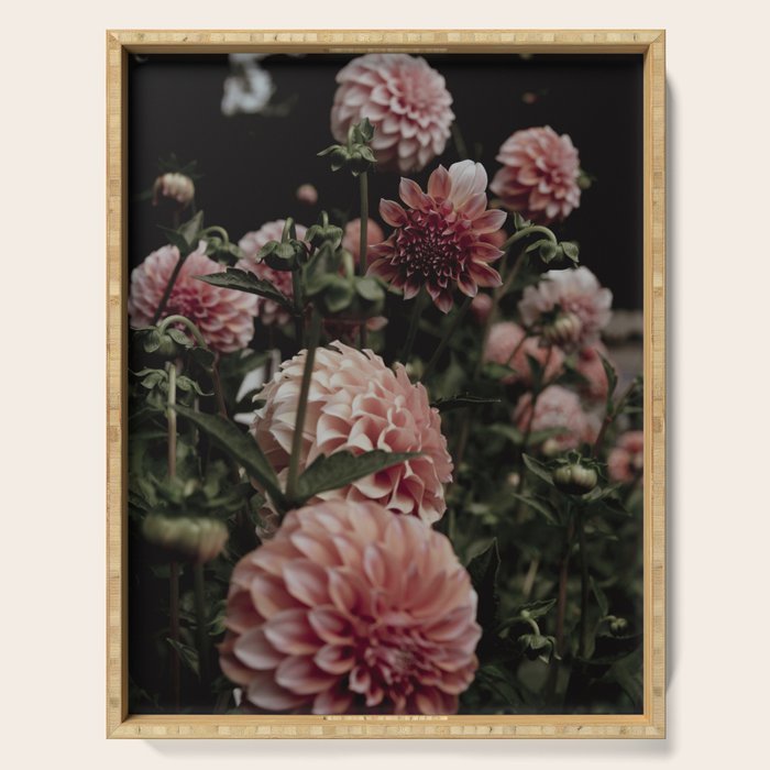 Come Together - moody botanical floral photograph rose pink dahlia flowers Serving Tray Gallery Image 1