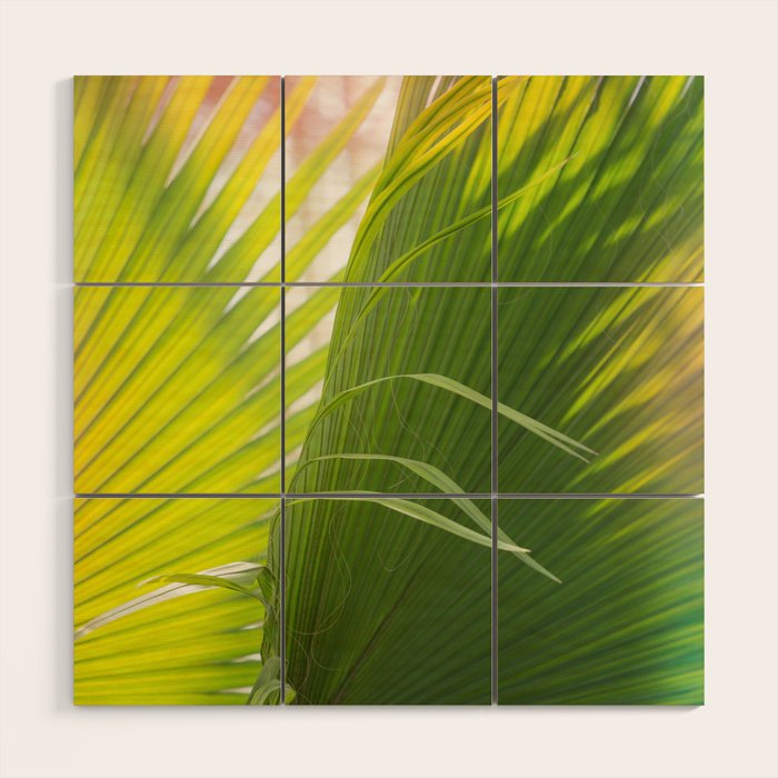 Summer, Forever Wood Wall Art Gallery Image 1