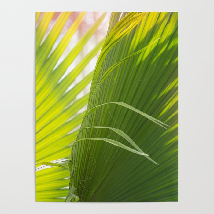 Summer, Forever Poster Gallery Image 4
