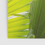 Summer, Forever Poster Gallery Image 3