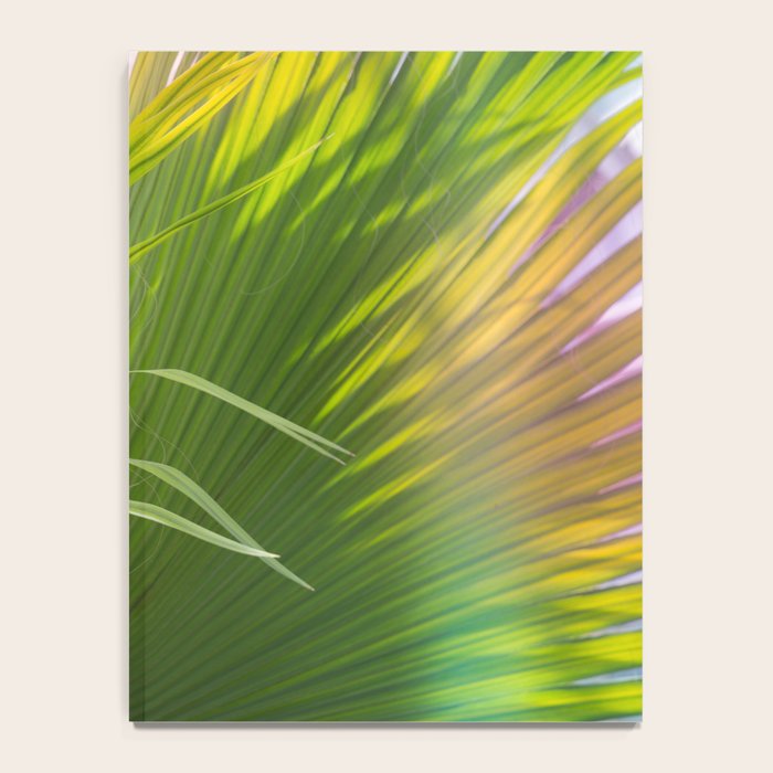 Summer, Forever Notebook Gallery Image 4