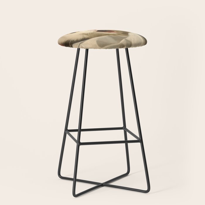 Shocked Cat V Stool Gallery Image 1