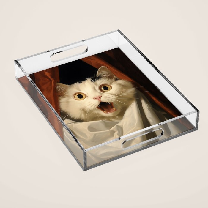 Shocked Cat V Acrylic Tray Gallery Image 1