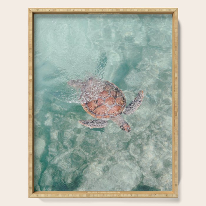 sea turtle iv - reunion island Serving Tray Gallery Image 1